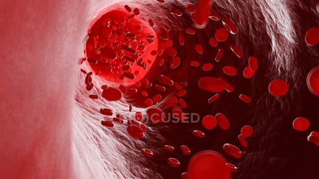 Ilustración de células sanguíneas humanas que fluyen . - foto de stock