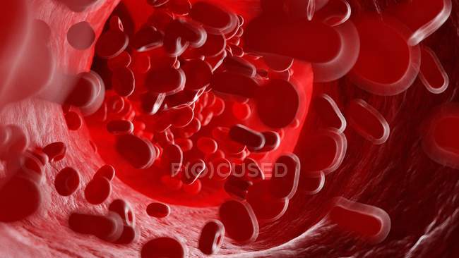 Ilustración de células sanguíneas humanas que fluyen . - foto de stock