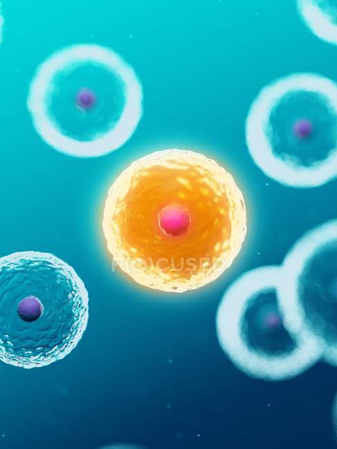 Digital illustration of human cells on blue background. — Stock Photo