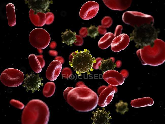 Ilustración de partículas del virus del VIH en la sangre humana . - foto de stock