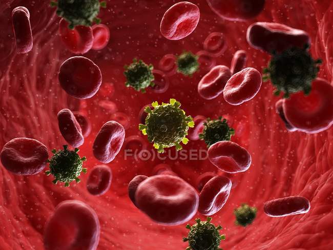 Иллюстрация частиц вируса ВИЧ в крови человека
. — стоковое фото