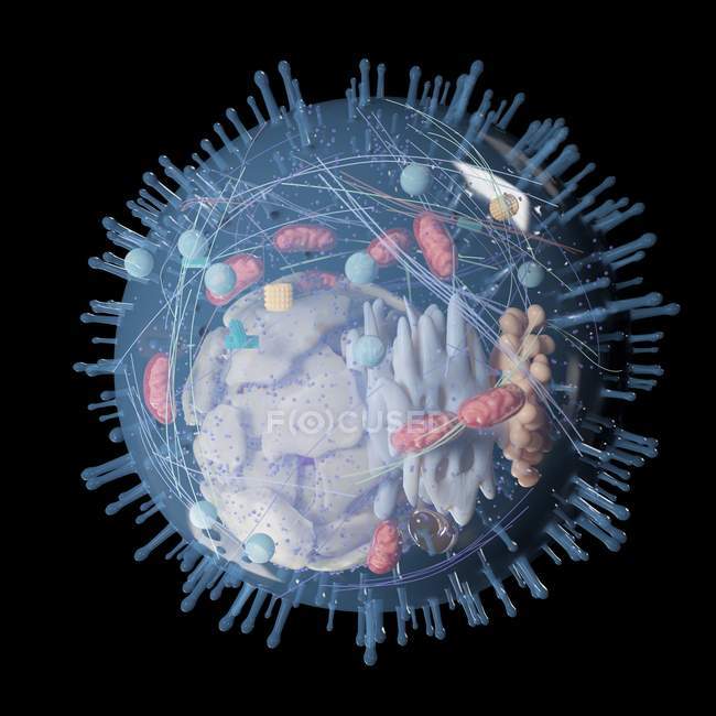 Медичні ілюстрація людської клітини структури на чорному фоні. — стокове фото
