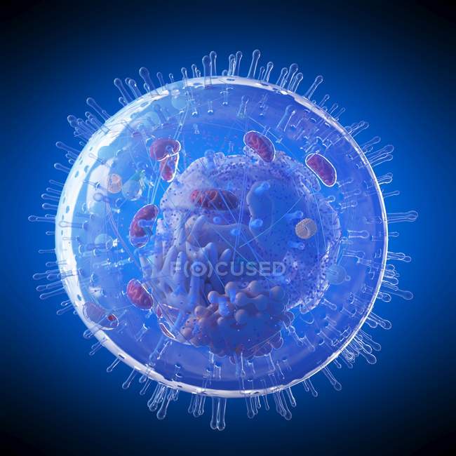 Medical illustration of human cell structure on dark background. — Stock Photo