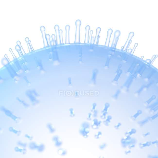 Иллюстрация синеклеточной мембраны на белом фоне
. — стоковое фото