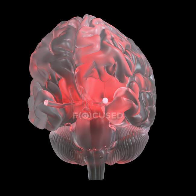 Illustration of red glowing transparent glass brain. — Stock Photo