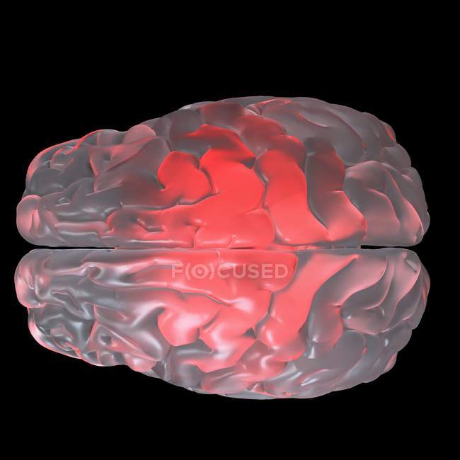 Иллюстрация красного светящегося прозрачного стеклянного мозга . — стоковое фото