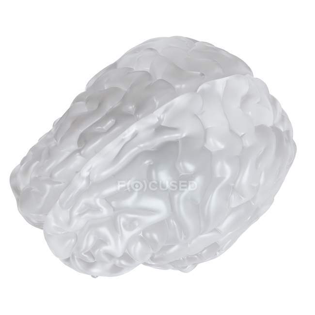 Ilustração do cérebro de vidro sobre fundo branco . — Fotografia de Stock