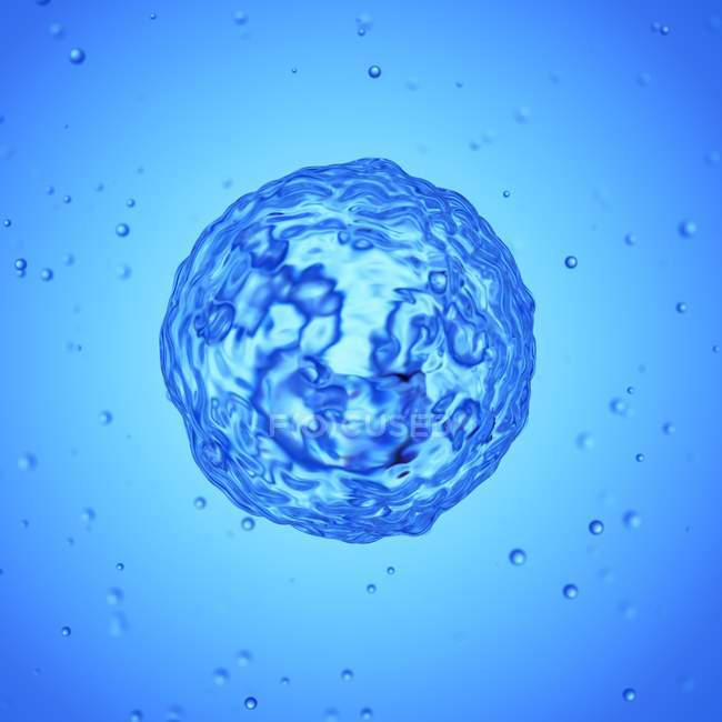 Увеличенная цифровая иллюстрация базофильных клеток . — стоковое фото