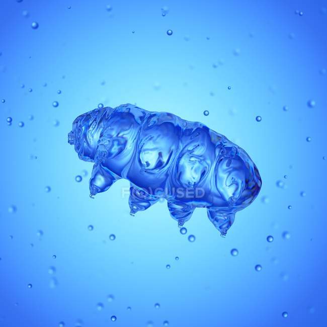 Magnified digital illustration of water bear. — Stock Photo