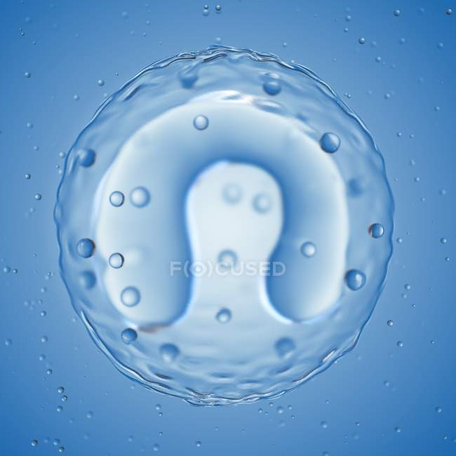 Збільшена цифрова ілюстрація лейкоцитарної клітини . — стокове фото