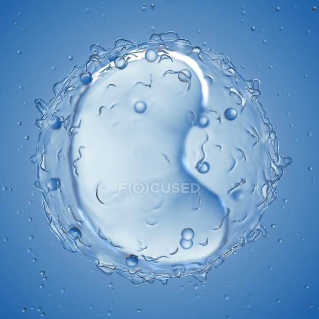 Ilustração digital ampliada de células monocíticas . — Fotografia de Stock