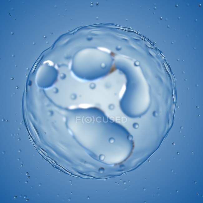 Magnified digital illustration of neutrophil cell. — Stock Photo