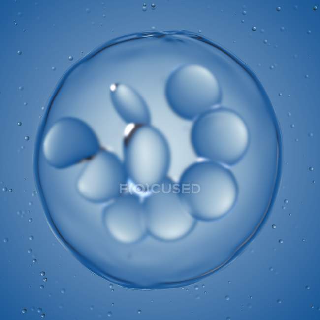 Ilustração digital ampliada de células megacariocíticas . — Fotografia de Stock