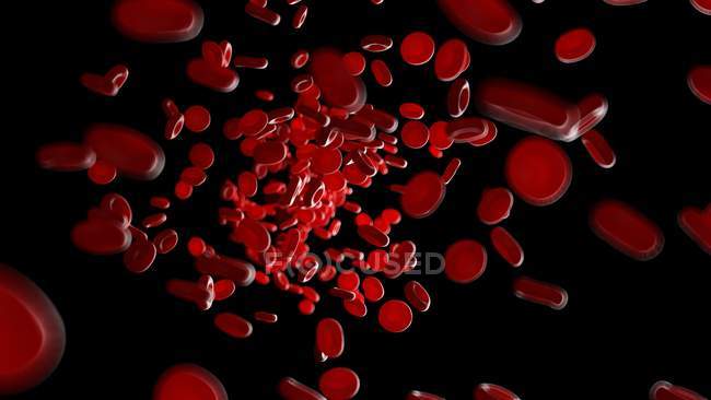 Ilustración de glóbulos rojos sobre fondo negro
. - foto de stock