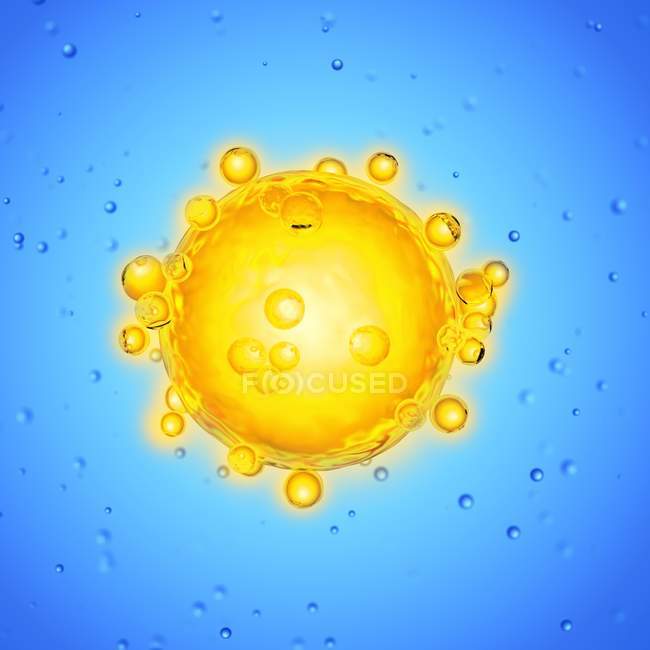 Illustration der gelben menschlichen Eizelle auf blauem Hintergrund. — Stockfoto