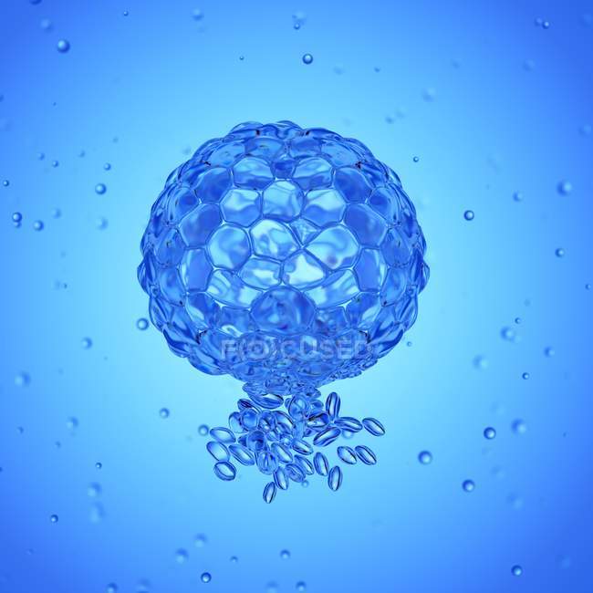 Увеличенная цифровая иллюстрация бластоцистозных клеток . — стоковое фото