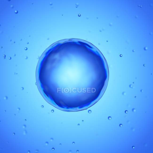 Illustration of human egg cell on blue background. — Stock Photo
