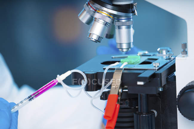 Close-up of scientist using lab on a chip microscope. — Stock Photo