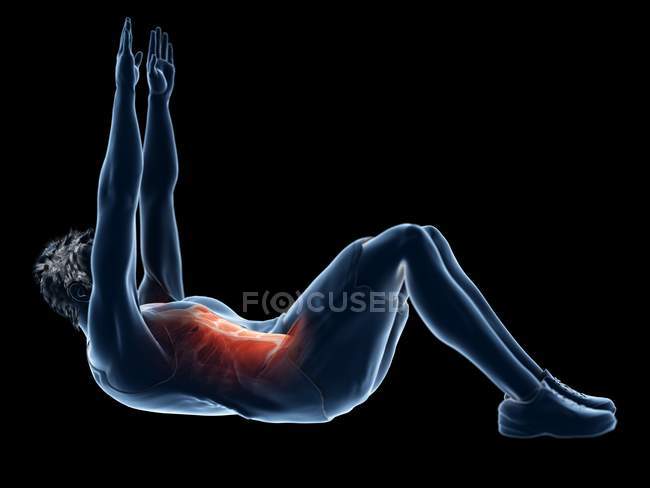 3d ilustração renderizada da silhueta do homem fazendo exercícios abdominais . — Fotografia de Stock