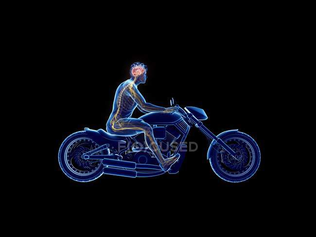 3d rendered illustration of biker brain on black background. — Stock Photo