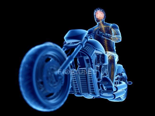 Illustration en 3D du cerveau du motard sur fond noir . — Photo de stock