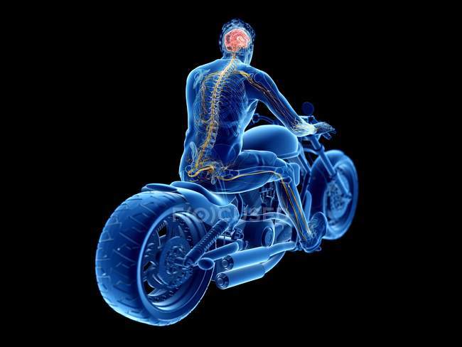 3d rendering illustrazione del cervello motociclista su sfondo nero
. — Foto stock