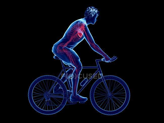 3d rendu illustration du cœur cycliste masculin tout en faisant du vélo sur fond noir . — Photo de stock