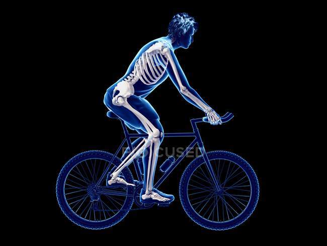3d renderizado ilustración de esqueleto en silueta de ciclista masculino sobre fondo negro . - foto de stock