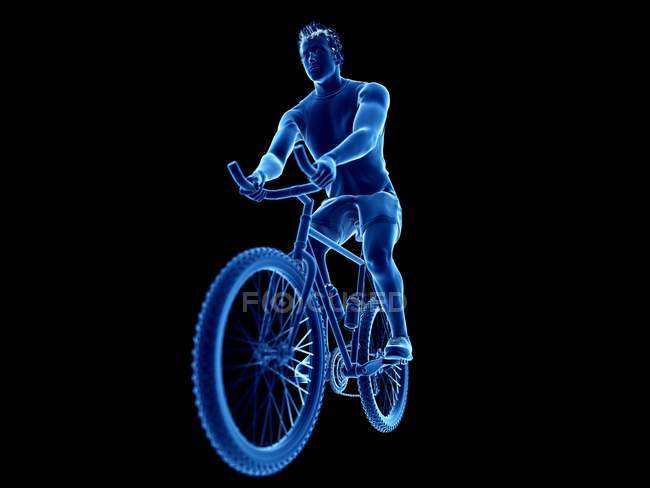 3D рендеринг иллюстрация мужского велосипедиста на черном фоне . — стоковое фото