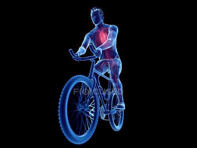 3d reso illustrazione di cuore ciclista maschile mentre in bicicletta su sfondo nero . — Foto stock
