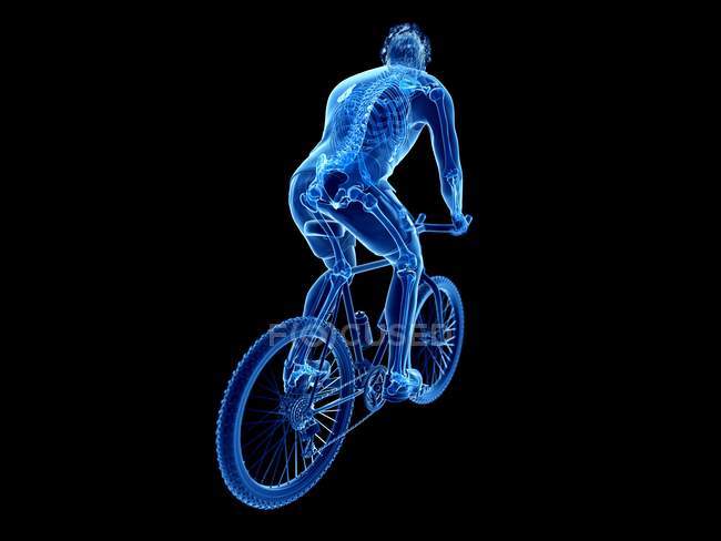 3D gerenderte Darstellung des Skeletts in der Silhouette eines männlichen Radfahrers auf schwarzem Hintergrund. — Stockfoto