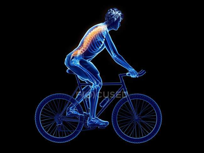 3d reso illustrazione della colonna vertebrale ciclista mentre in bicicletta su sfondo nero . — Foto stock