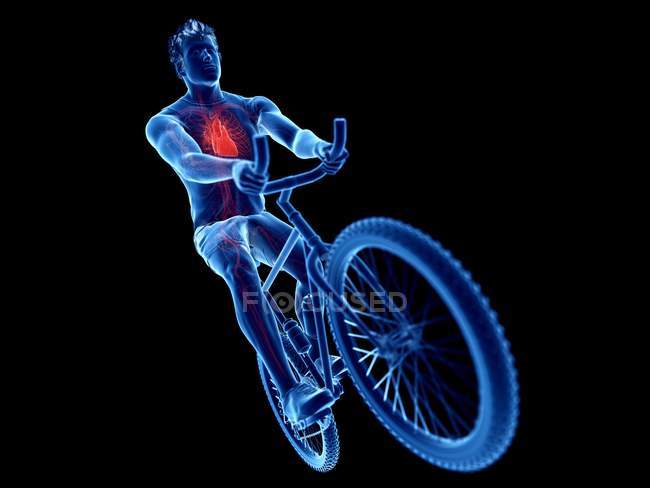 3D gerenderte Darstellung des Radfahrerherzens auf schwarzem Hintergrund. — Stockfoto