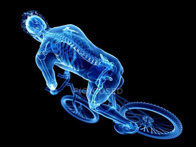 3d rendered illustration of skeleton in silhouette of male cyclist on black background. — Stock Photo