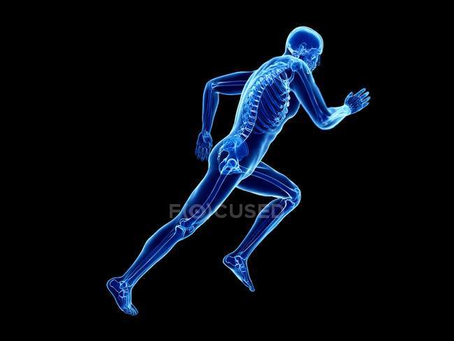 Illustration 3d du squelette en silhouette de corps jogger sur fond noir . — Photo de stock