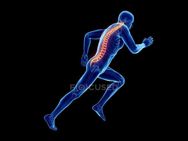 Illustration en 3D de la colonne vertébrale du joggeur masculin en cours d'exécution sur fond noir
. — Photo de stock