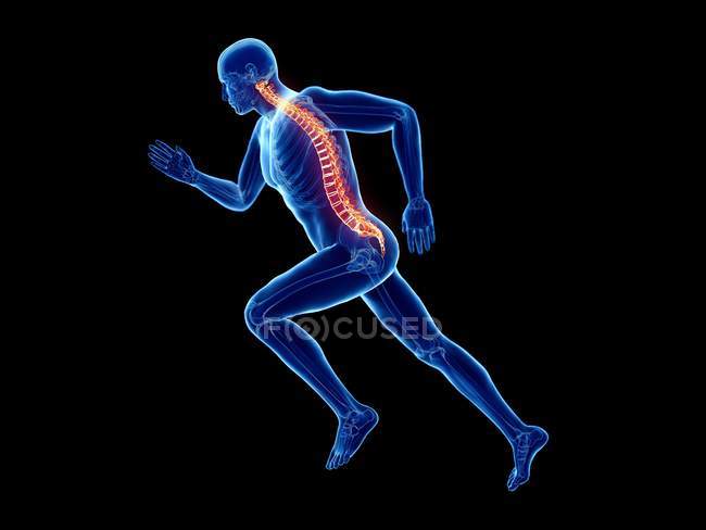 3D gerenderte Darstellung der Wirbelsäule eines männlichen Joggers beim Laufen auf schwarzem Hintergrund. — Stockfoto