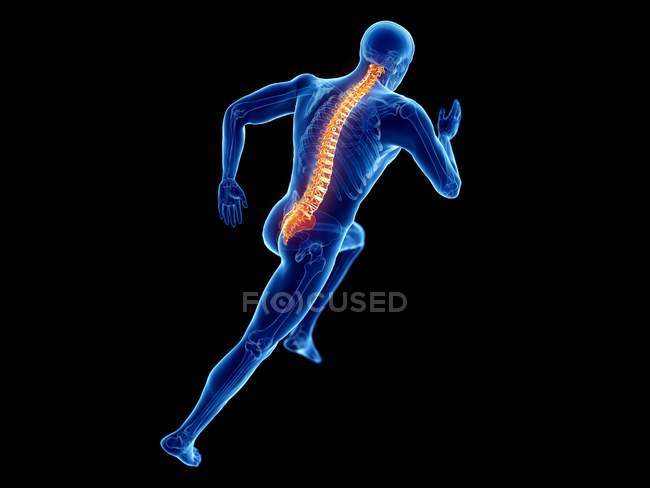 Illustration en 3D de la colonne vertébrale du joggeur masculin en cours d'exécution sur fond noir
. — Photo de stock