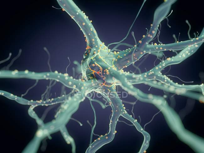 3D gerenderte Darstellung des Nervenzellsystems. — Stockfoto