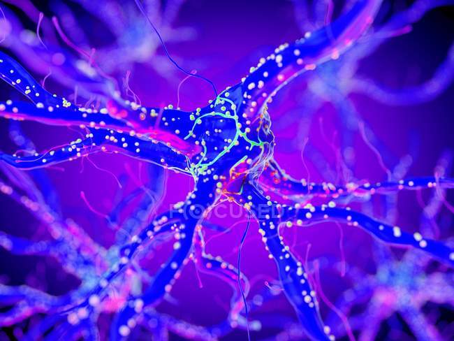 3d renderizado ilustración de la célula nerviosa púrpura . - foto de stock