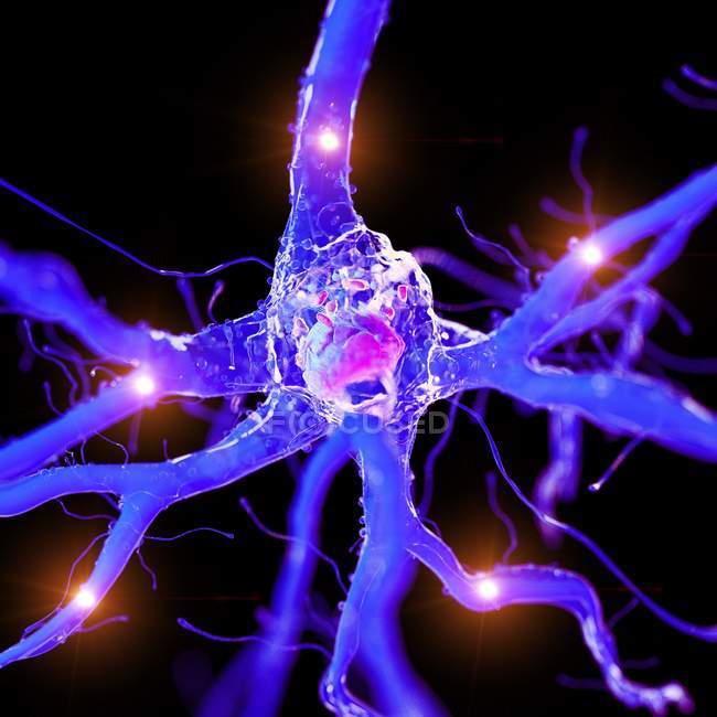 3d rendered illustration of purple nerve cell. — Stock Photo