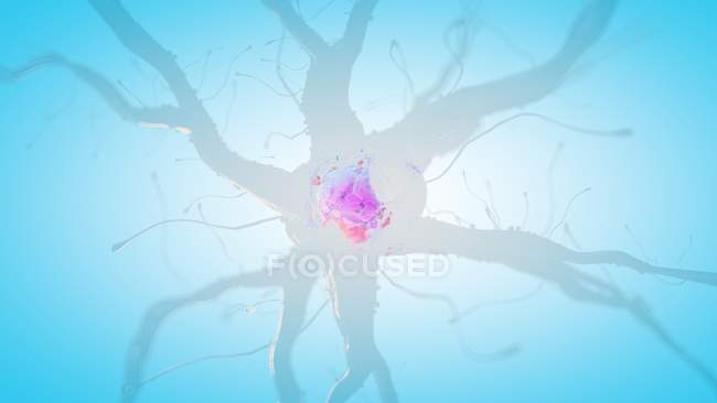 3d rendered illustration of human nerve cell on blue background. — Stock Photo