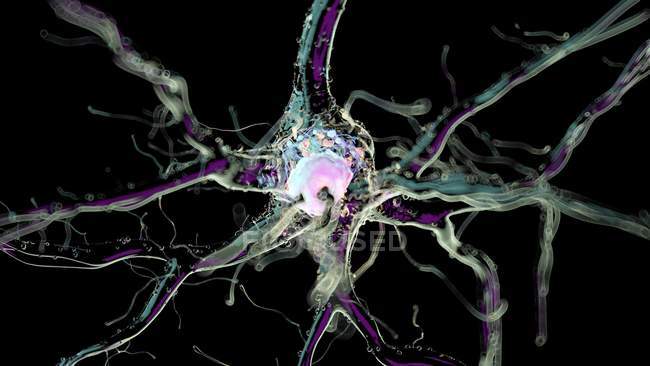 Illustrazione resa 3d della cellula nervosa umana . — Foto stock