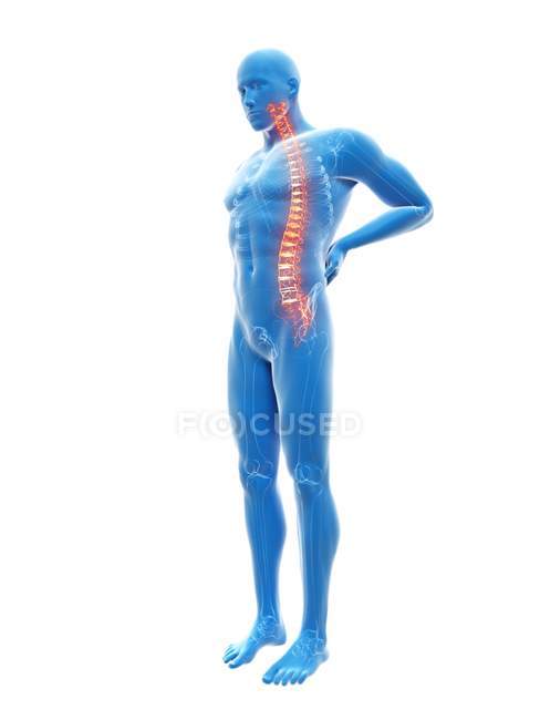 3d rendu illustration de la silhouette bleue de l'homme avec mal de dos . — Photo de stock