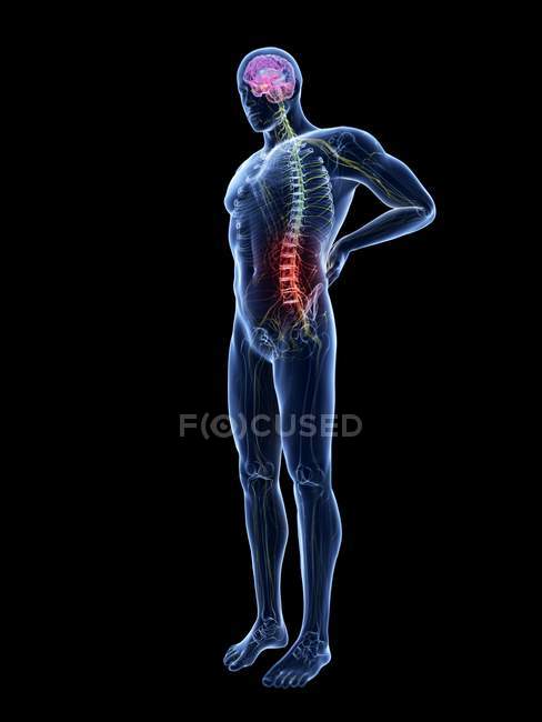 3d ilustração renderizada da silhueta azul do homem com dor nas costas . — Fotografia de Stock