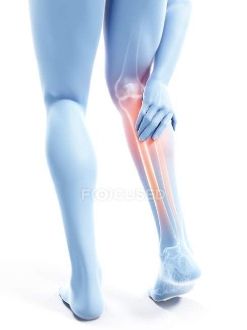 3d rendered illustration of blue silhouette of male legs with painful calf on white background. — Stock Photo