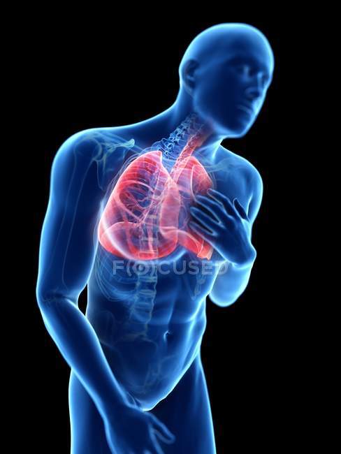 3d renderizado ilustración de silueta azul del hombre con los pulmones inflamados
. - foto de stock