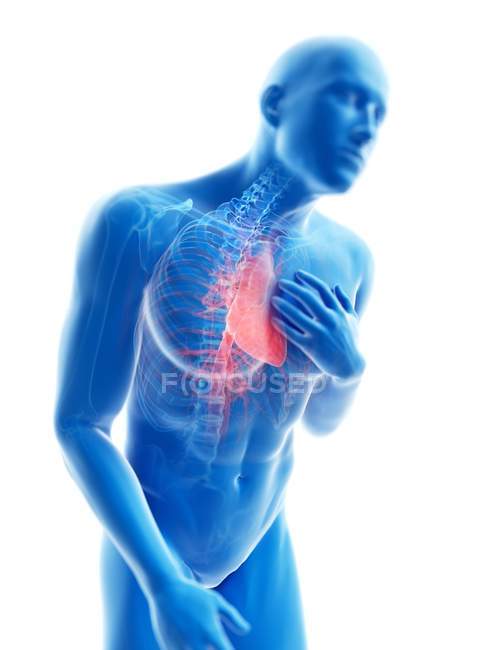 3d ilustração renderizada da silhueta azul do homem com dor no peito
. — Fotografia de Stock