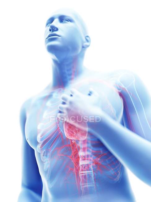 3D ілюстрація синього силуету людини з болем у грудях . — стокове фото