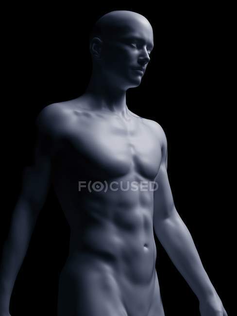 Ilustración del cuerpo humano sobre fondo negro . - foto de stock